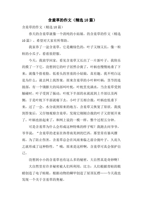 含羞草的作文(10篇)