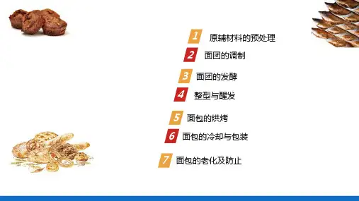 面包加工技术—面包加工基础理论