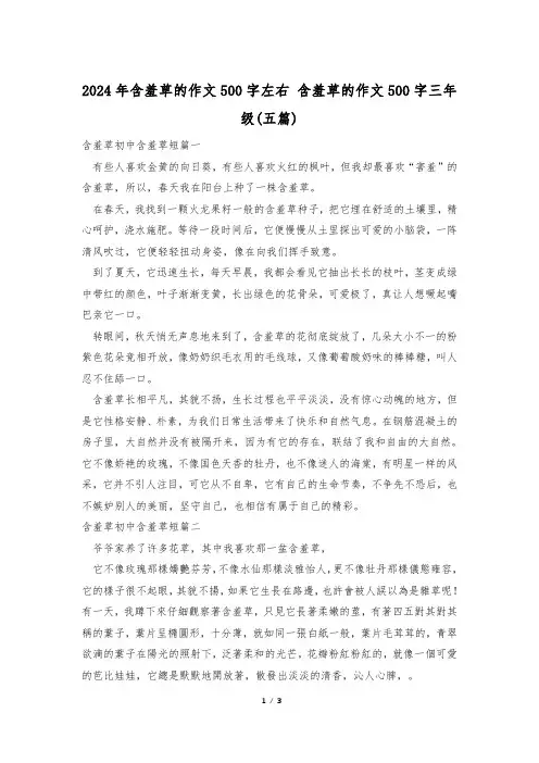 2024年含羞草的作文500字左右 含羞草的作文500字三年级(五篇)