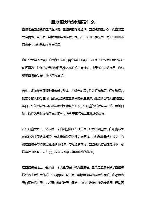 血液的分层原理是什么