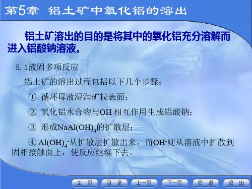铝土矿溶出