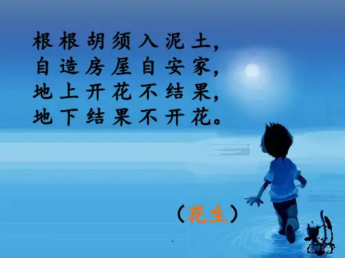 15落花生[001]PPT课件