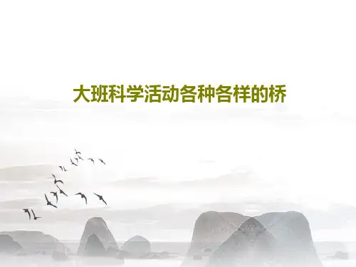 大班科学活动各种各样的桥PPT文档共26页