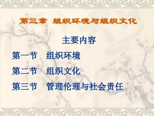 组织环境与组织文化ppt课件ppt课件