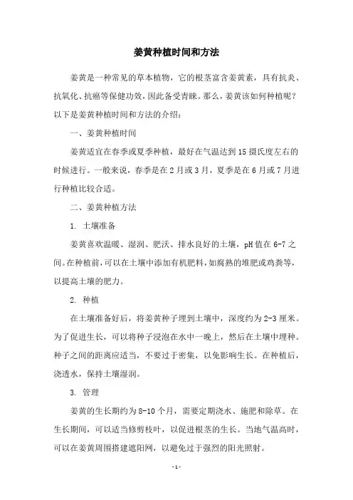 姜黄种植时间和方法