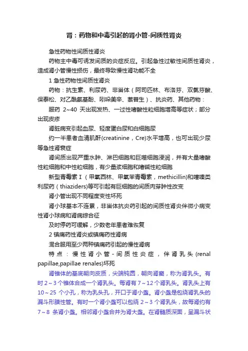 肾：药物和中毒引起的肾小管-间质性肾炎