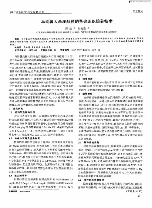 马铃薯大西洋品种的茎尖组织培养技术