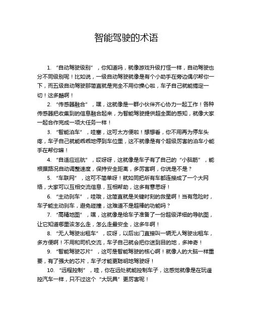 智能驾驶的术语