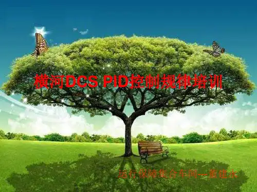 横河DCS-PID控制规律培训课件