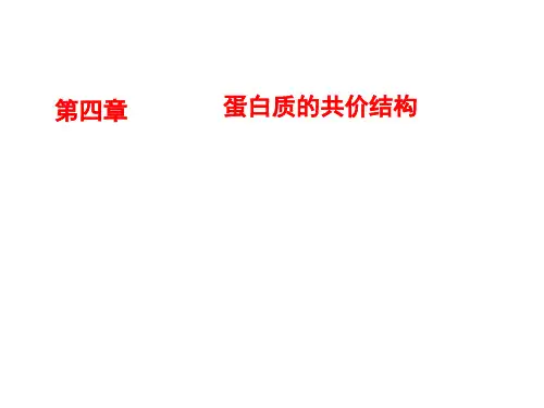 第3-3章  蛋白质的共价结构