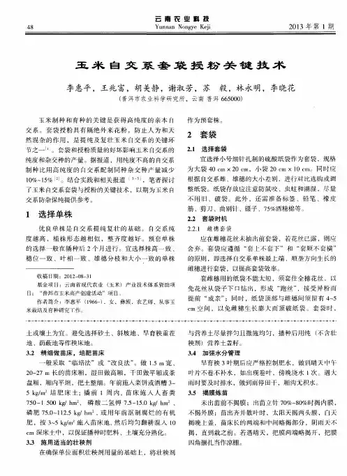 玉米自交系套袋授粉关键技术