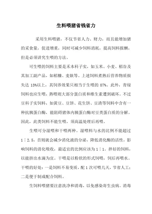 生料喂猪省钱省力