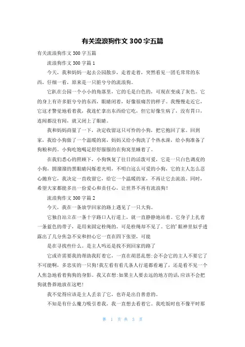 有关流浪狗作文300字五篇