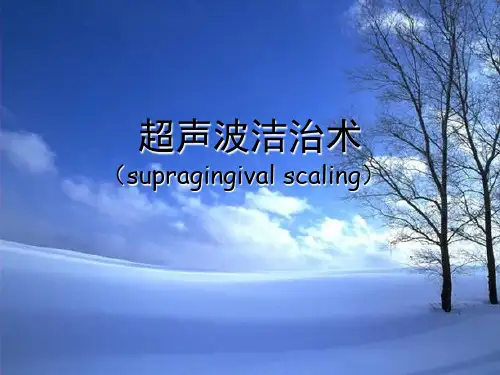 实验+龈上洁治术超声