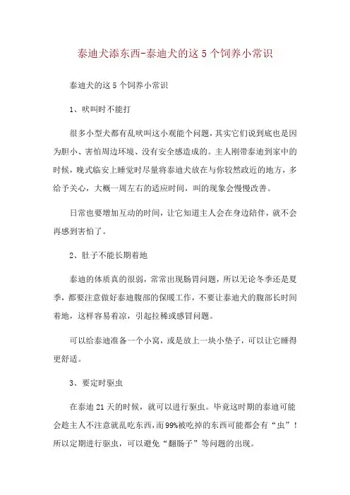 泰迪犬添东西-泰迪犬的这5个饲养小常识