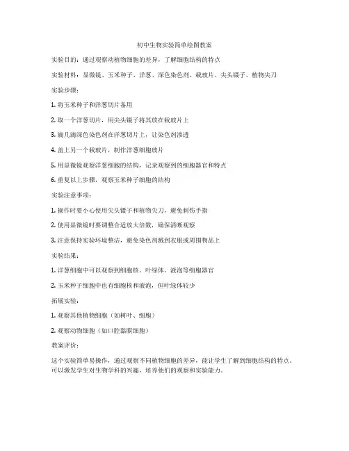 初中生物实验简单绘图教案