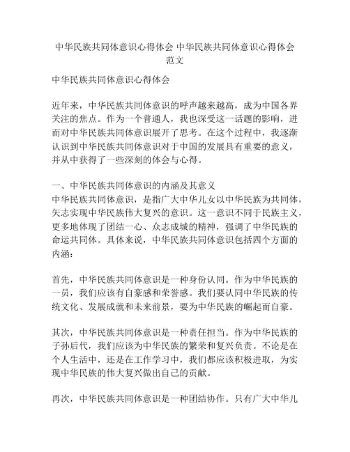 中华民族共同体意识心得体会 中华民族共同体意识心得体会范文