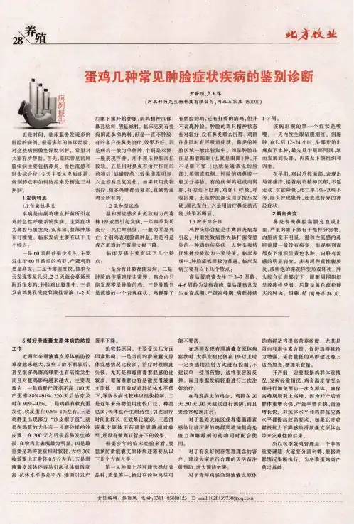 蛋鸡几种常见肿脸症状疾病的鉴别诊断