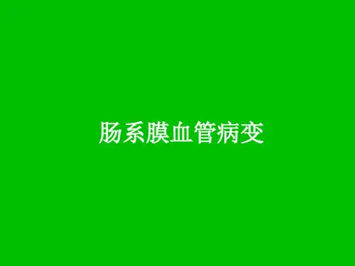 肠系膜血管病变的影像表现