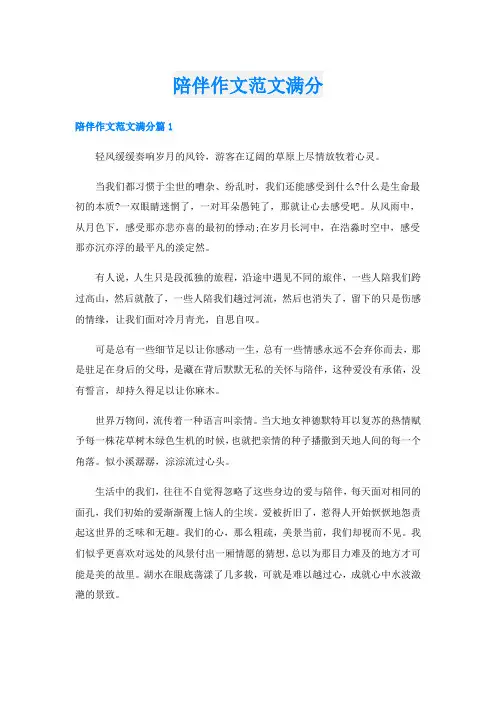 陪伴作文范文满分
