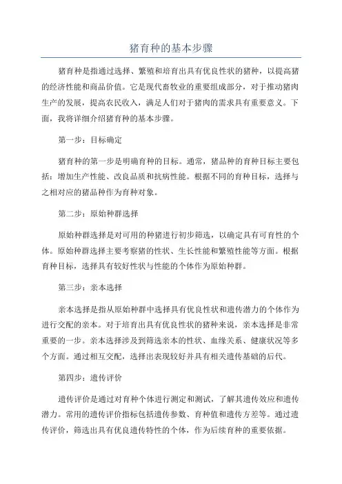 猪育种的基本步骤