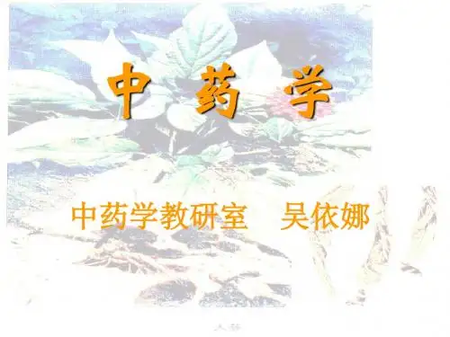 中药学总论 PPT课件