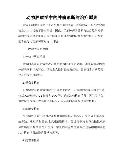 动物肿瘤学中的肿瘤诊断与治疗原则