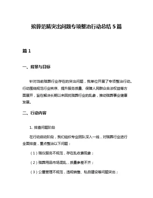 殡葬范畴突出问题专项整治行动总结5篇