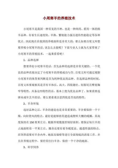小尾寒羊的养殖技术