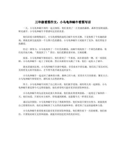 三年级看图作文：小乌龟和蜗牛看图写话