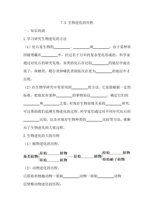 生物进化的历程 同步练习(含答案)人教版八年级下册