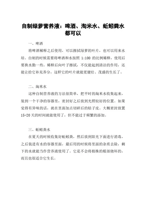 自制绿萝营养液：啤酒、淘米水、蚯蚓粪水都可以