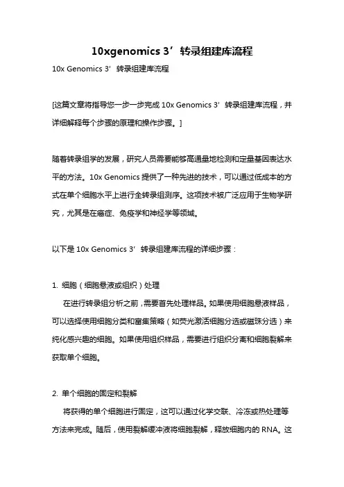 10xgenomics 3’转录组建库流程