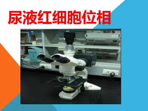 尿液红细胞位相