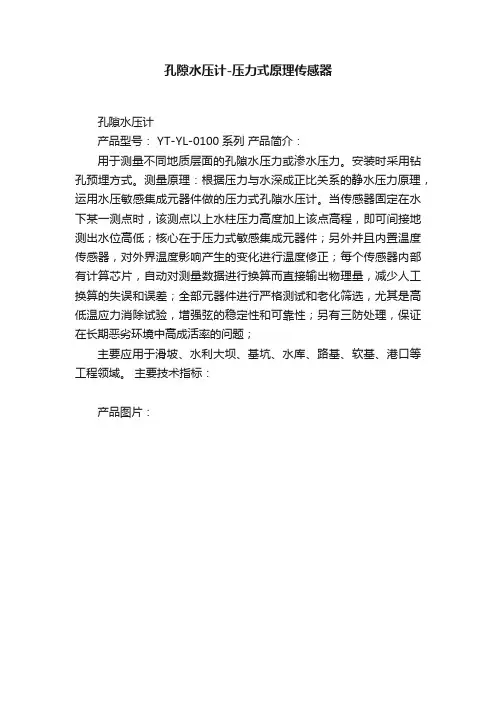 孔隙水压计-压力式原理传感器