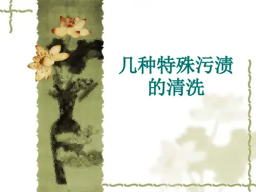 几种特殊污渍的洗涤