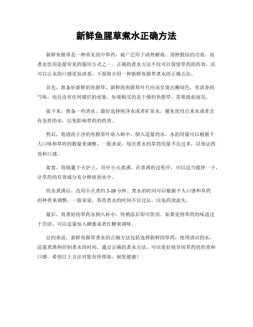 新鲜鱼腥草煮水正确方法
