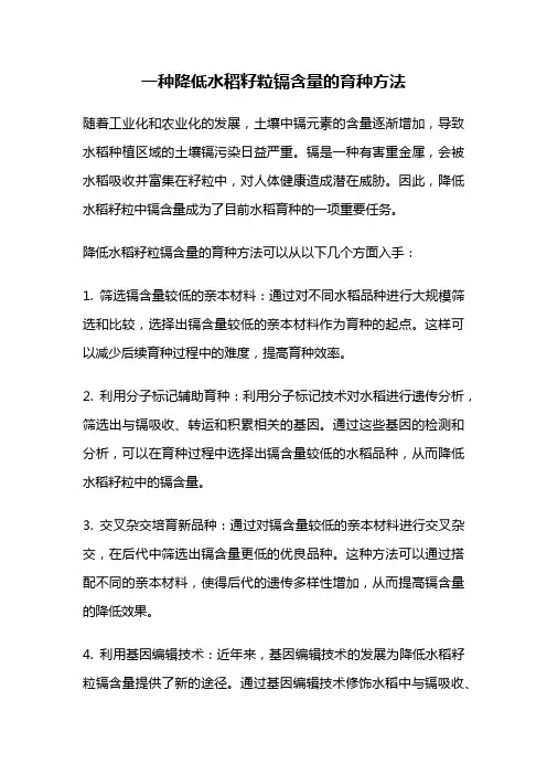 一种降低水稻籽粒镉含量的育种方法