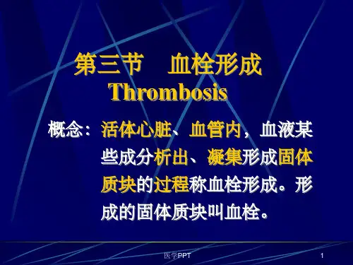 《血栓形成》PPT课件