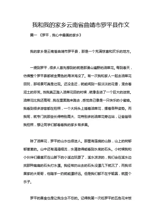 我和我的家乡云南省曲靖市罗平县作文