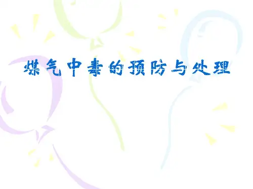《煤气中毒的预防与处理》PPT