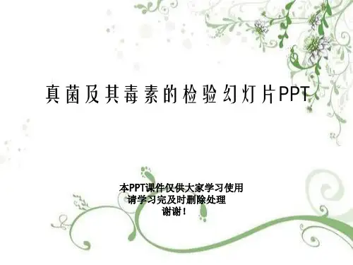 真菌及其毒素的检验幻灯片PPT