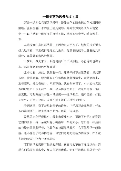 一道美丽的风景作文4篇