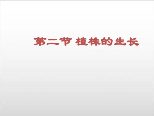 新人教版生物《植株的生长》完美课件1