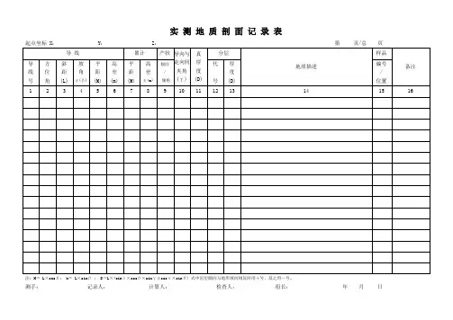 野外地质记录表大全