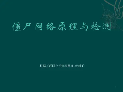 3-僵尸网络原理与检测技术ppt课件