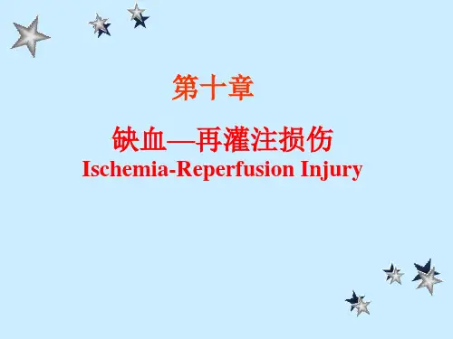 缺血再灌注损伤分析