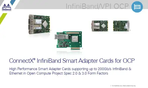 ConnectX  InfiniBand Smart Adapter Cards 商品说明书