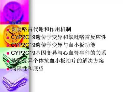 PPTCYP2C19基因多态性与氯吡咯雷反应变异性的研究进展课件