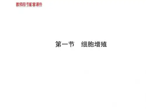 细胞增殖(复习课)